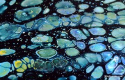 #0004 Océan (05/2018) - @sylfeonline